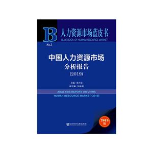 人力资源市场蓝皮书中国人力资源市场分析报告(2019)