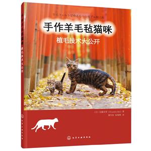 手作羊毛毡猫咪