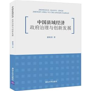 中国县域经济:政府治理与创新发展
