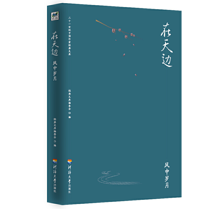 二十一世纪中国作家经典文库:在天边.风中岁月