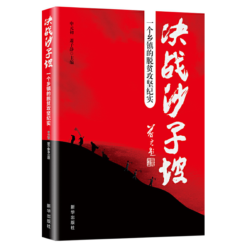 决战沙子坡:一个乡镇的脱贫攻坚纪实