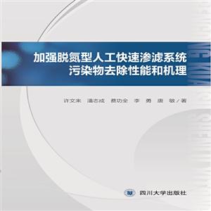 加强脱氮型人工快速渗滤系统污染物去除性能和机理