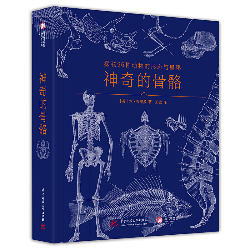 神奇的骨骼:探秘96种动物的形态与奥秘