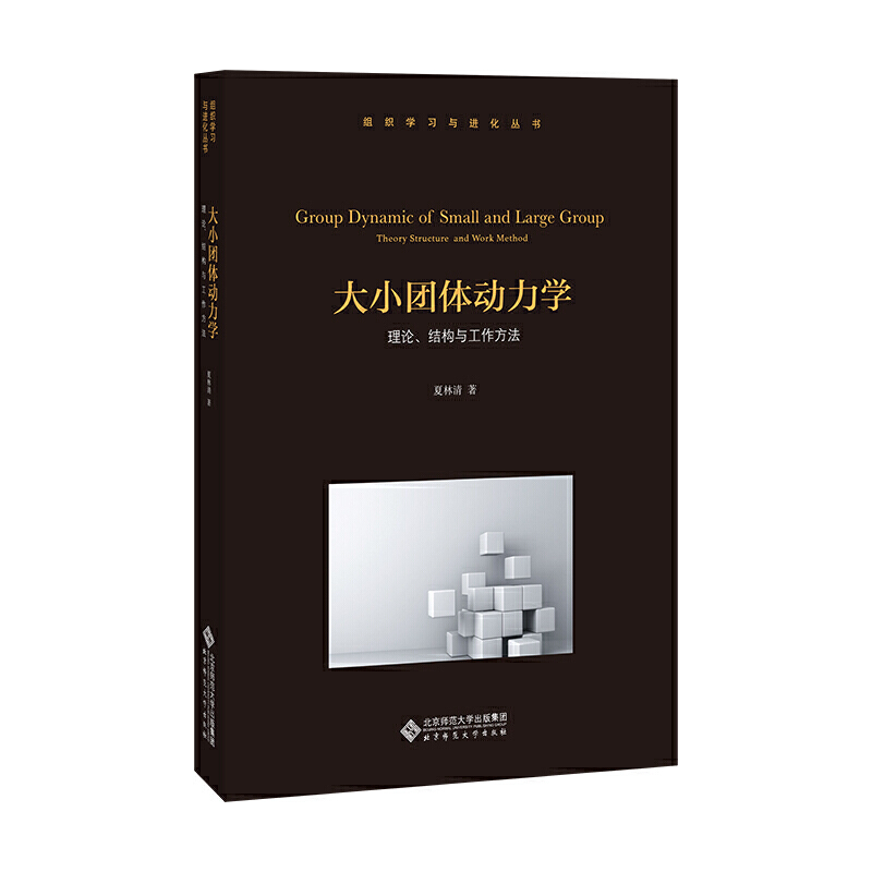 组织学习与进化书系大小团体动力学 : 理论、结构与工作方法