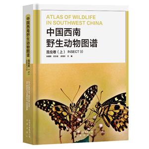 中国西南野生动物图:谱昆虫卷上