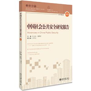 中国社会公共安全研究报告(第15辑)