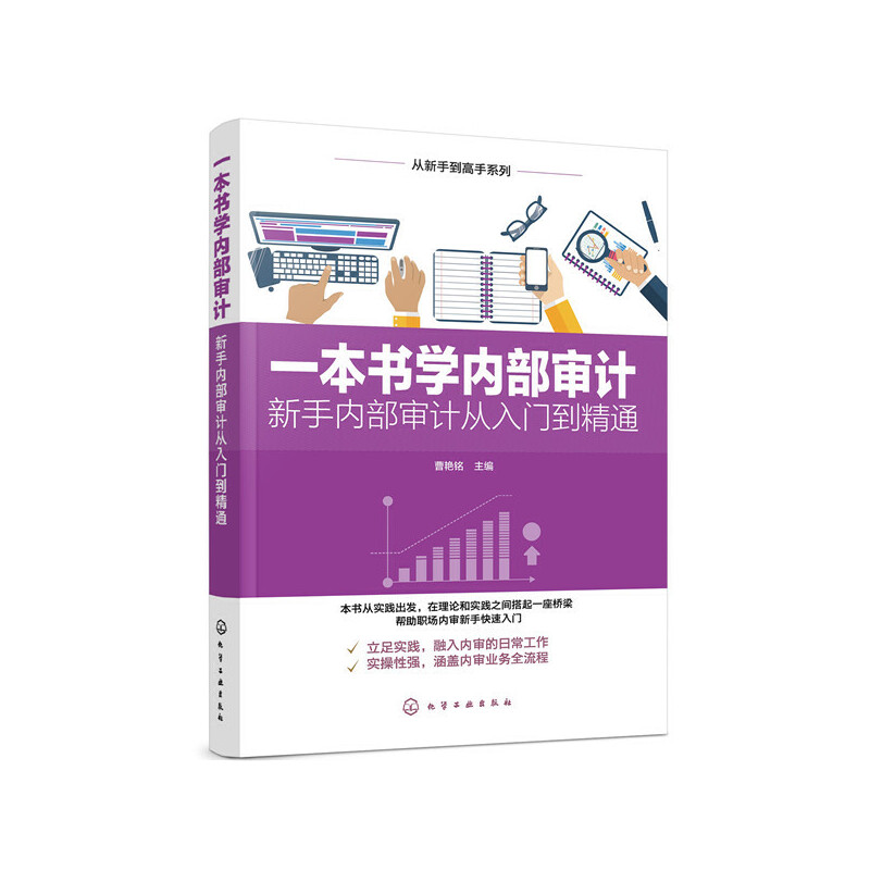 从新手到高手系列从新手到高手系列:一本书学内部审计/新手内部审计从入门到精通