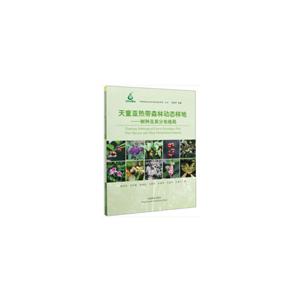 天童带森林动态样地:树种及其分布格局/中国森林生物多样性监测网络丛书
