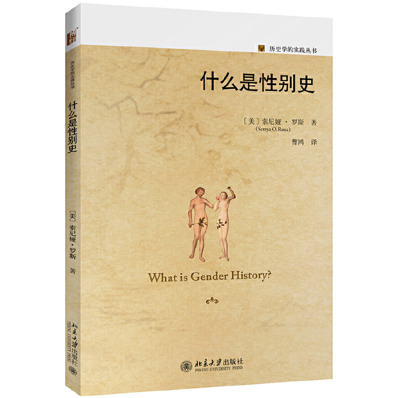 历史学的实践丛书什么是性别史