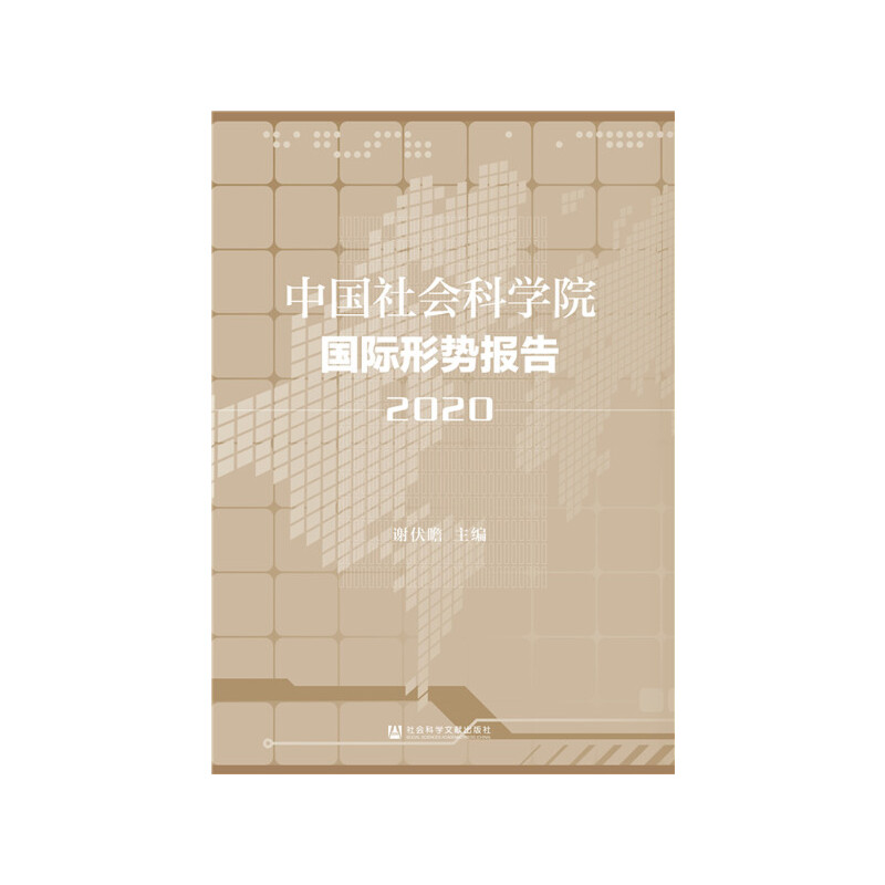 中国社会科学院国际形势报告(2020)