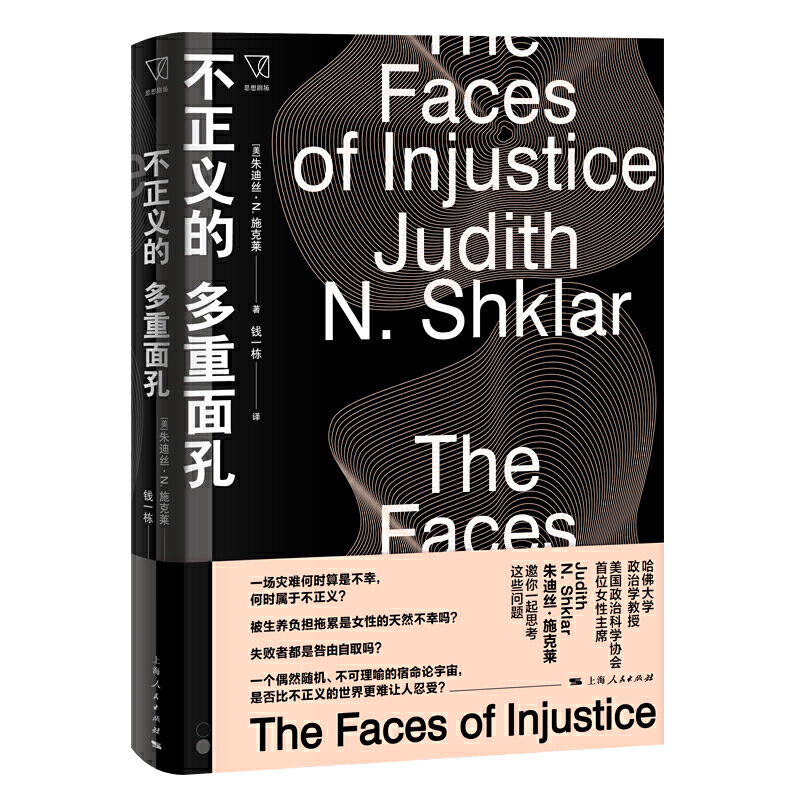 新书-- 不正义的多重面孔