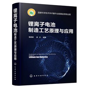 锂离子电池制造工艺原理与应用