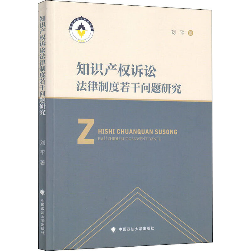 知识产权诉讼法律制度若干问题研究