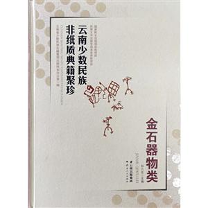 云南少数民族非纸质典籍聚珍金石器物类:云南少数民族非纸质典籍聚珍.