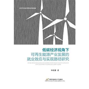 低碳经济视角下可再生能源产业发展的就业效应与实现路径研究