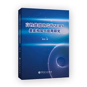 高性能微纳结构SERS基底构筑与应用研究