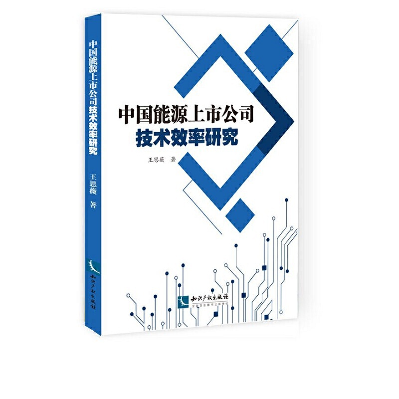 中国能源上市公司技术效率研究