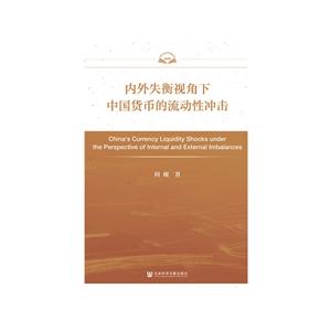 内外失衡视角下中国货币的流动性冲击