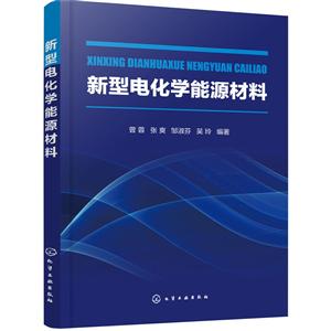 新型电化学能源材料