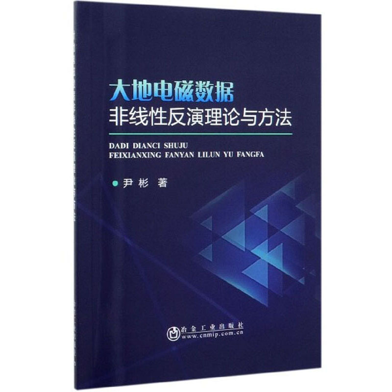 大地电磁数据非线性反演理论与方法