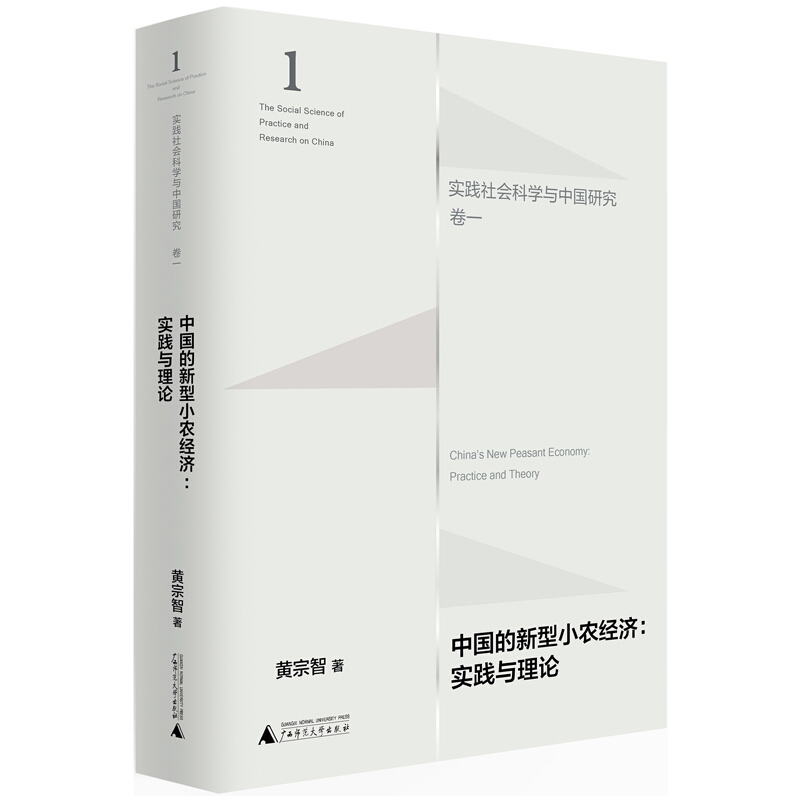 实践社会科学与中国研究(卷一)  中国的新型小农经济:实践与理论