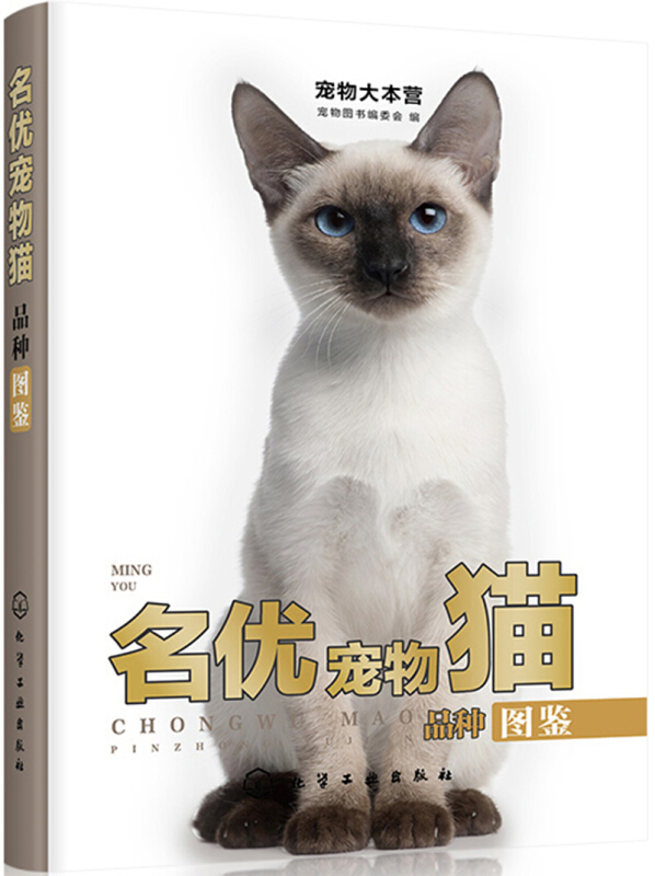 名优宠物猫品种图鉴