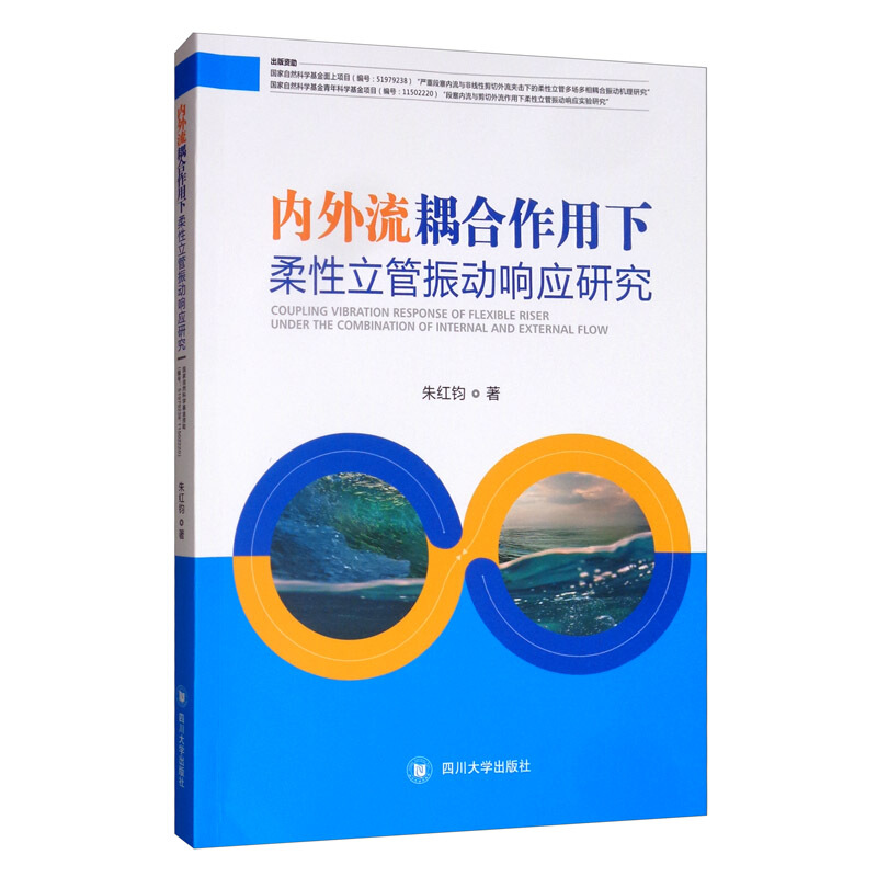 内外流耦合作用下柔性立管振动响应研究