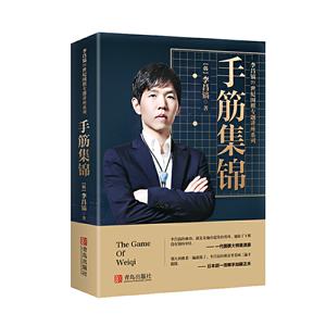 李昌镐21世纪围棋专题讲座:手筋集锦