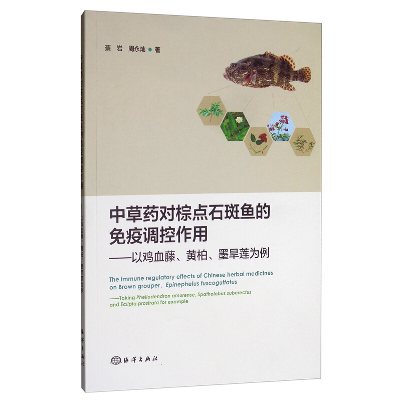 中草药对棕点石斑鱼的免疫调控作用-以鸡血藤、黄柏、墨旱莲为例