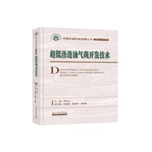 超低渗透油气藏开发技术