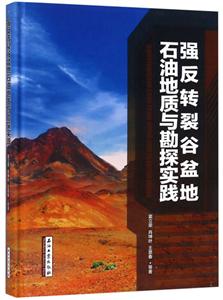 强反转裂谷盆地石油地质与勘探实践