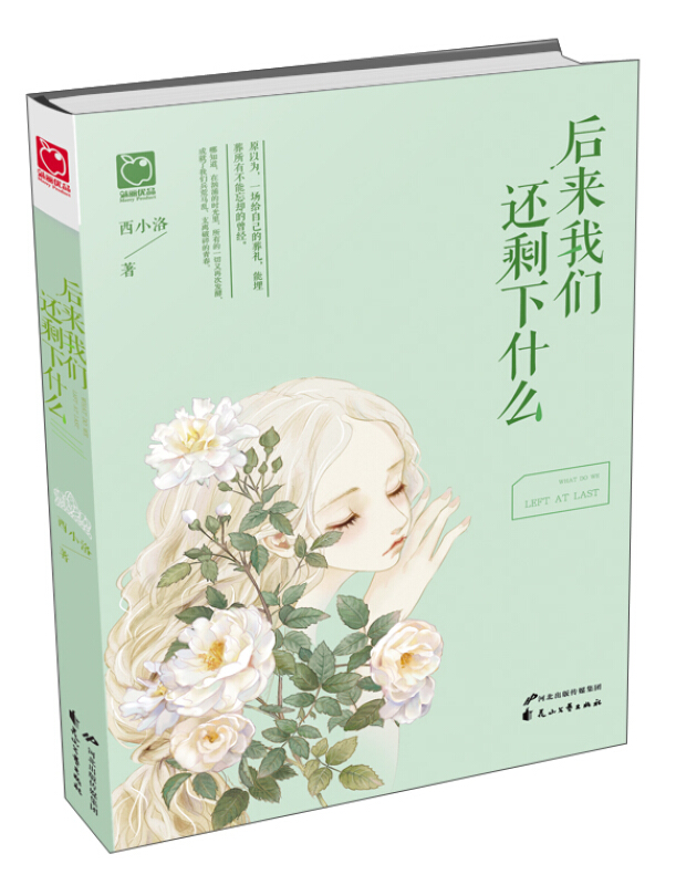 后来我们还剩下什么
