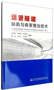 运营隧道缺陷与病害整治技术