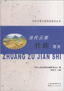 当代云南壮族简史