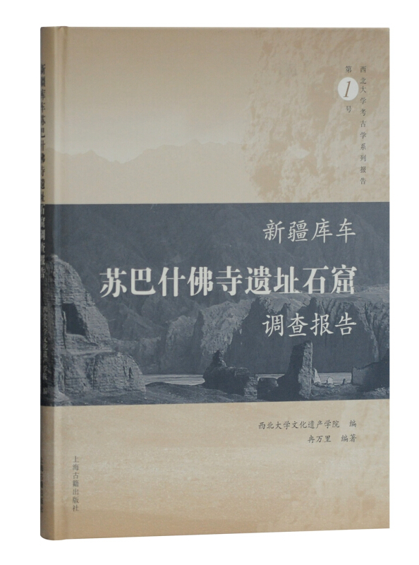 新疆库车苏巴什佛寺遗址石窟调查报告
