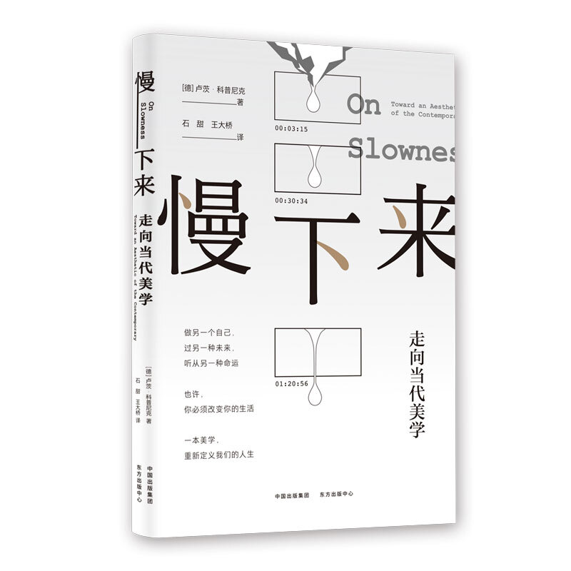 批判美学与当代艺术批评丛书·慢下来——走向当代美学慢下来:走向当代美学/批判美学与当代艺术批评丛书