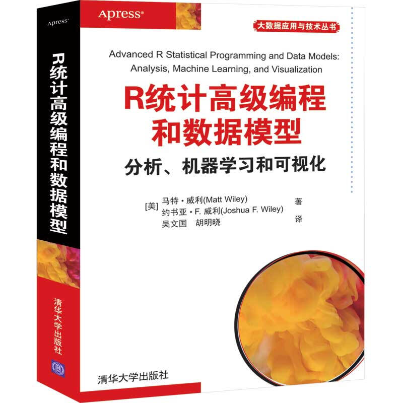 大数据应用与技术丛书R统计高级编程和数据模型:分析.机器学习和可视化