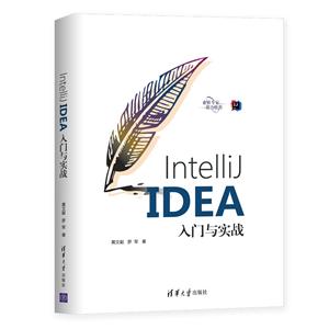 IntelliJ IDEAʵս