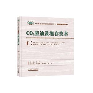 CO2驱油扩埋存技术