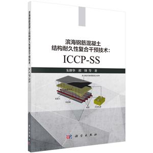 ֽṹ;ԸϸԤ:ICCP-SS