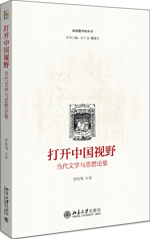 向度批评家丛书打开中国视野(当代文学与思想论集)/向度批评家丛书
