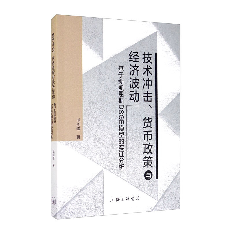 技术冲击、货币政策与经济波动