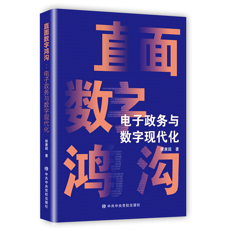 直面数字鸿沟:电子政务与数字现代化