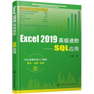 Excel 2019߼:SQLӦ