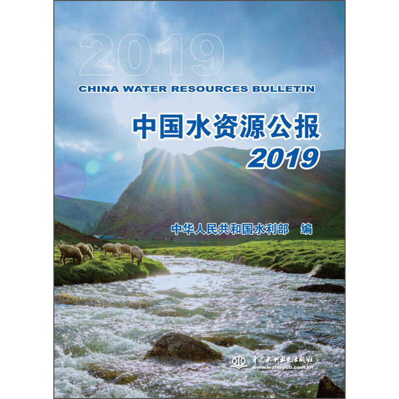 中国水资源公报2019