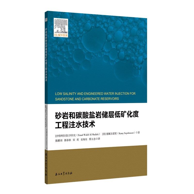 砂岩和碳酸盐岩储层低矿化度工程注水技术