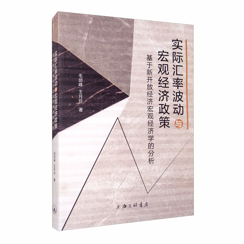 实际汇率波动与宏观经济政策:基于新开放经济宏观经济学的分析