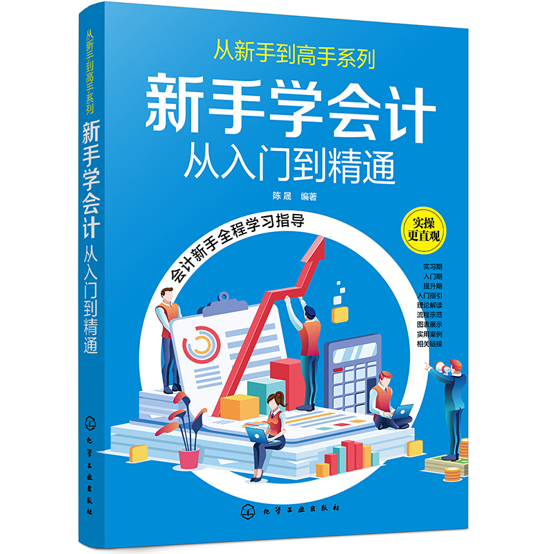 从新手到高手系列新手学会计:从入门到精通/从新手到高手系列