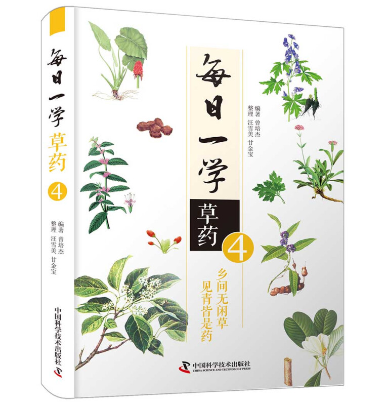 每日一学草药:4