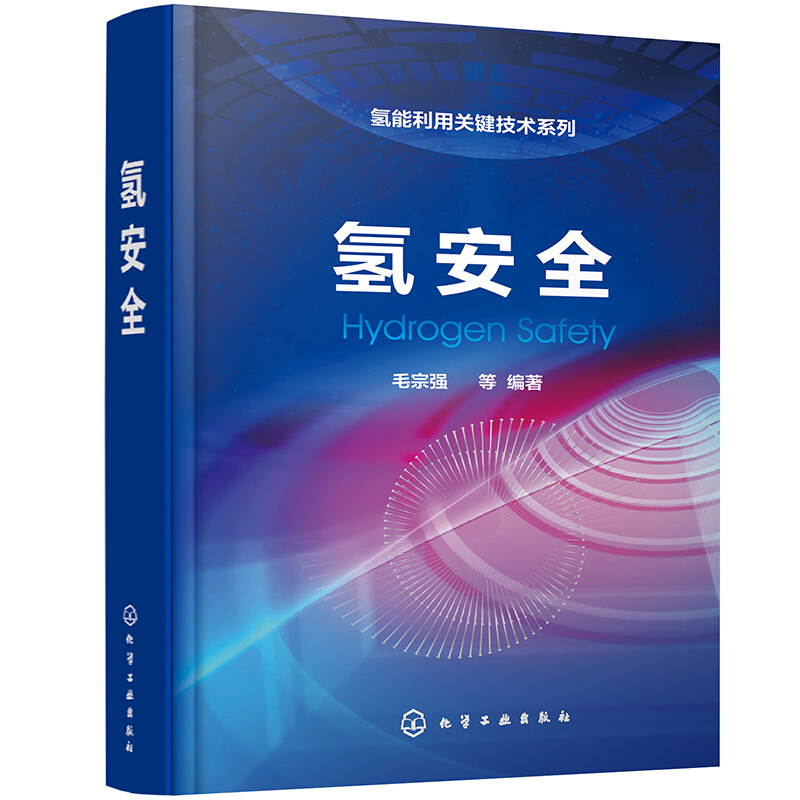 氢能利用关键技术系列氢安全(精)/氢能利用关键技术系列